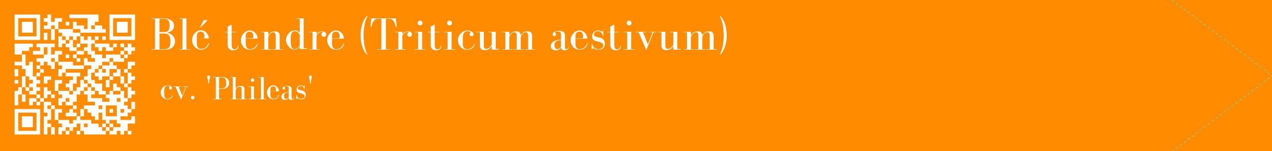 étiquette 2