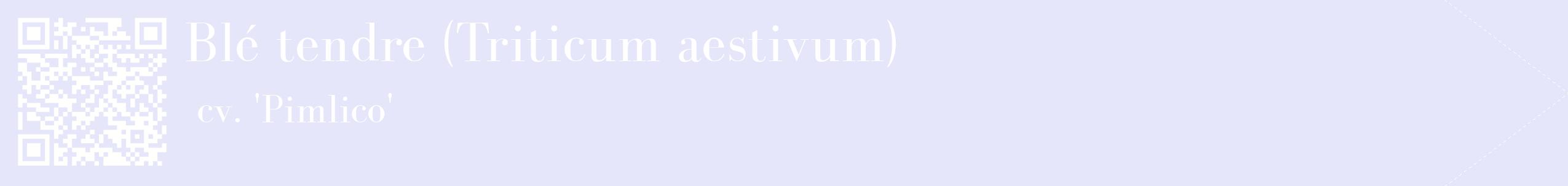 étiquette 2