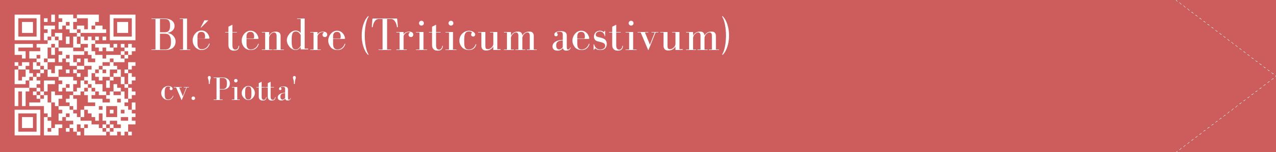 étiquette 2