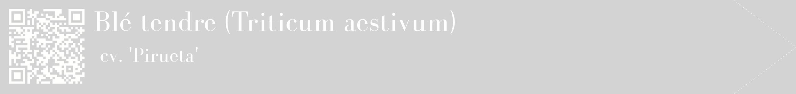 étiquette 2