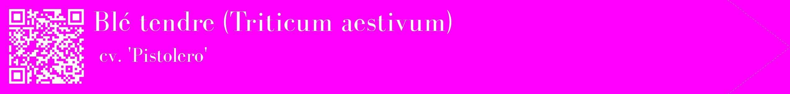 étiquette 2
