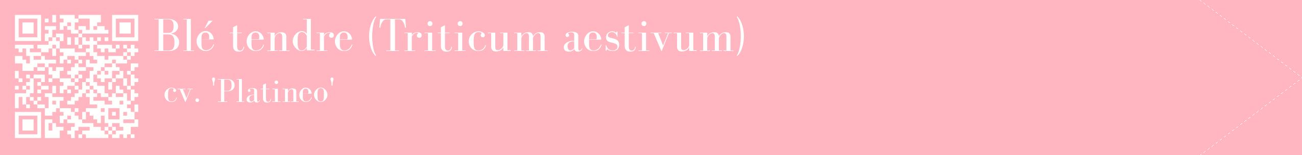 étiquette 2