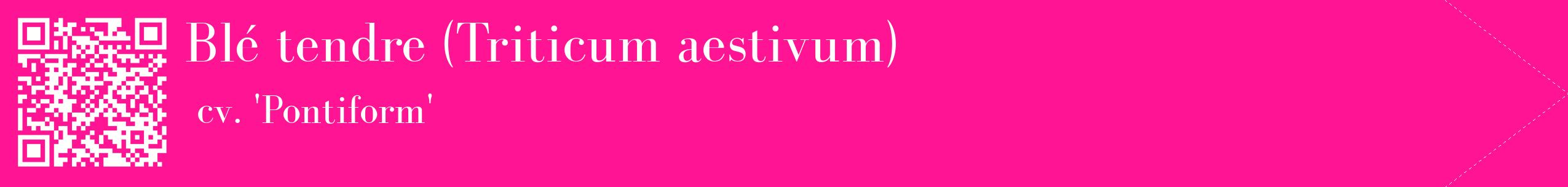 étiquette 2