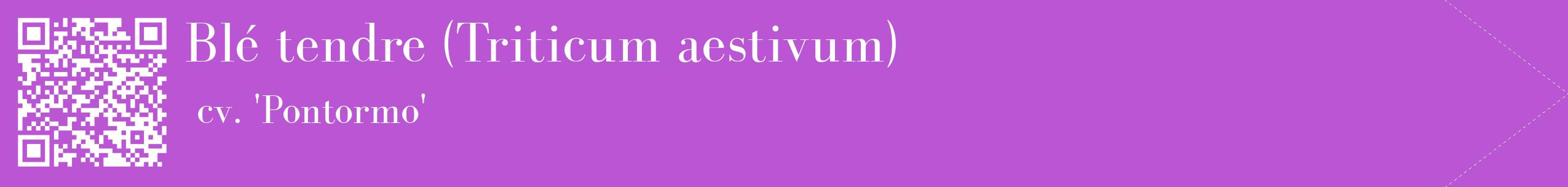 étiquette 2