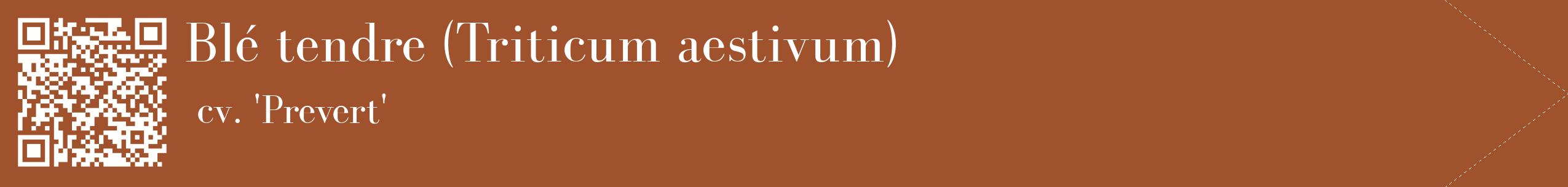 étiquette 2