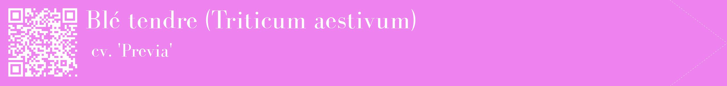 étiquette 2