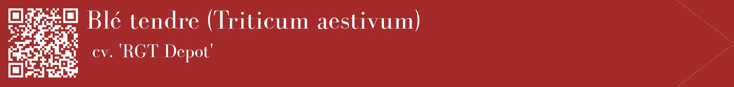 étiquette 2