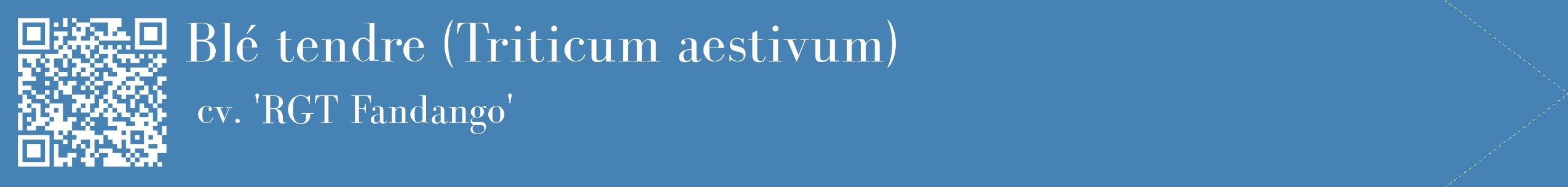 étiquette 2