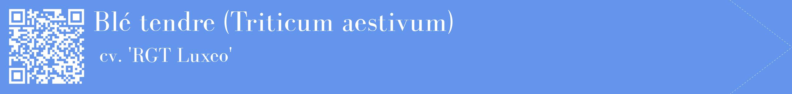 étiquette 2