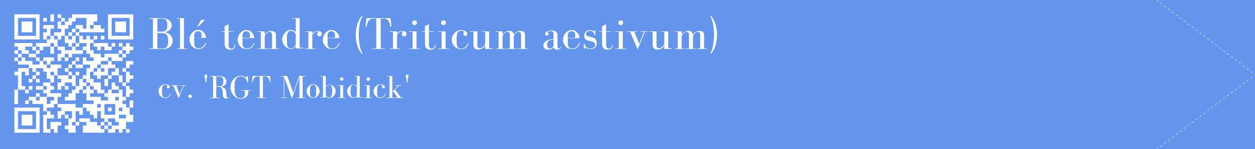 étiquette 2