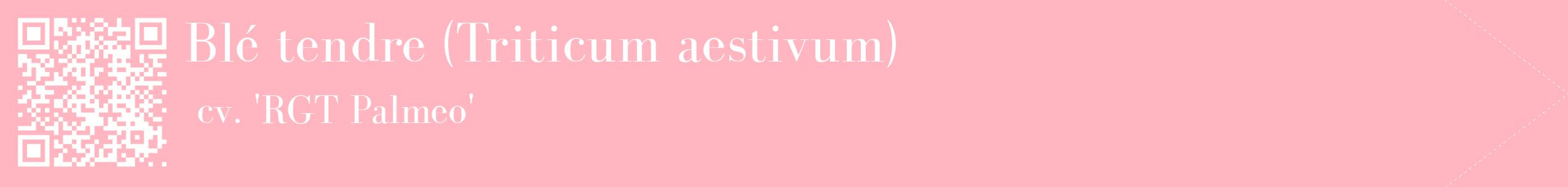 étiquette 2