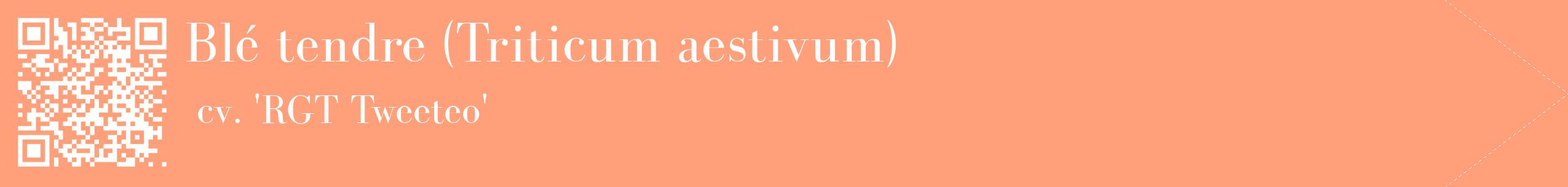 étiquette 2