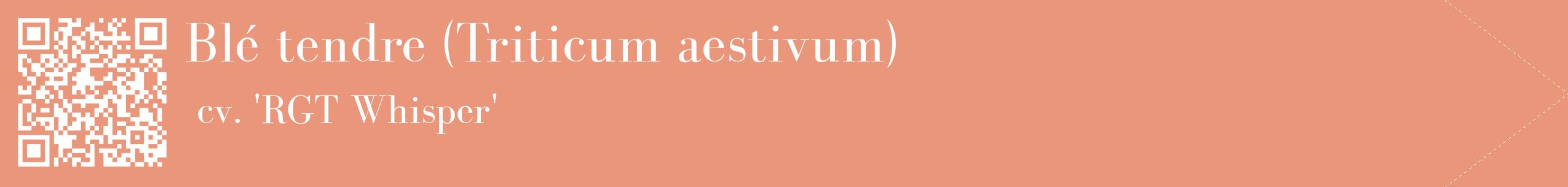 étiquette 2