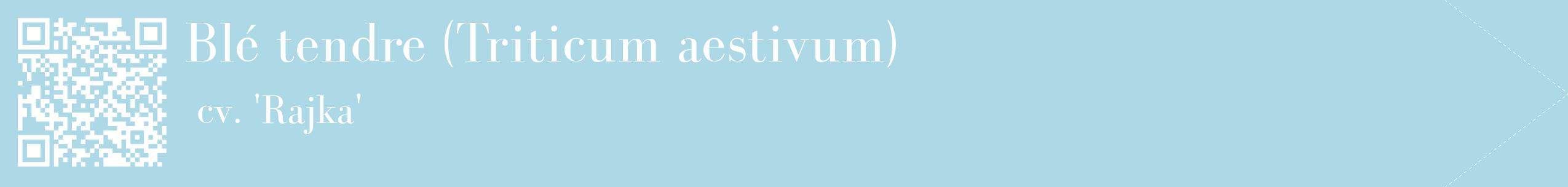 étiquette 2