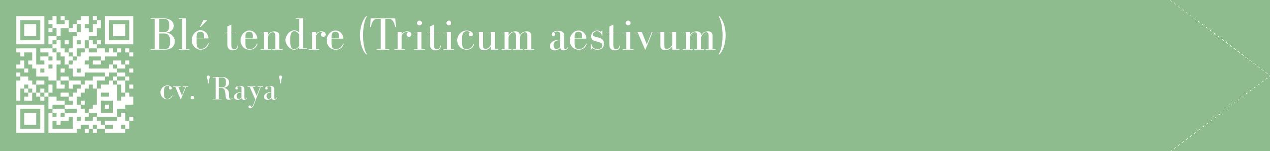 étiquette 2