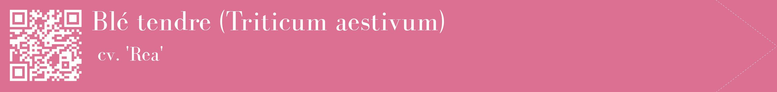 étiquette 2
