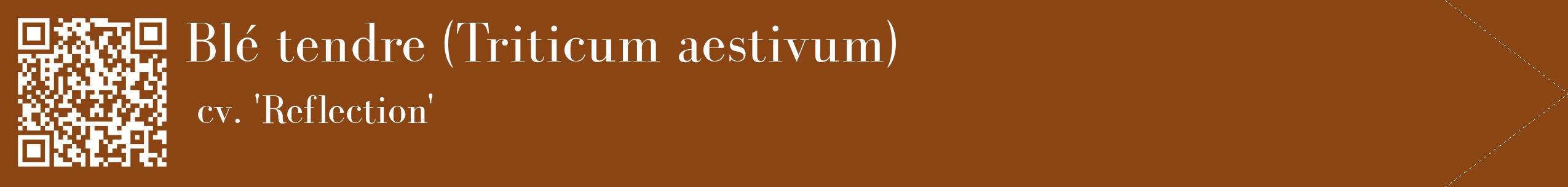 étiquette 2