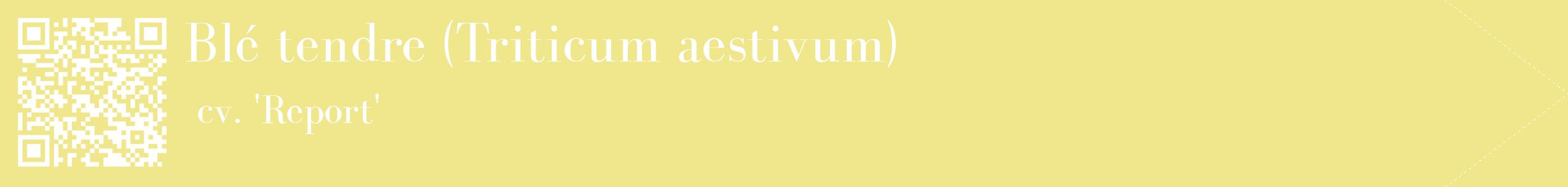 étiquette 2