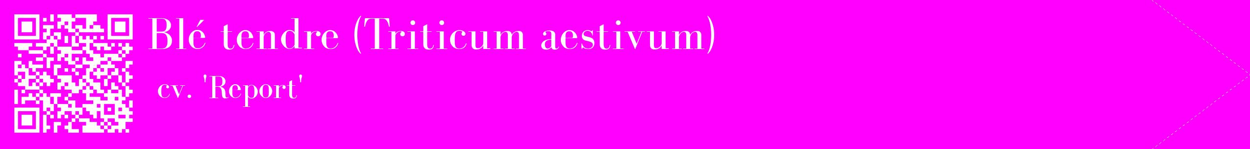 étiquette 2