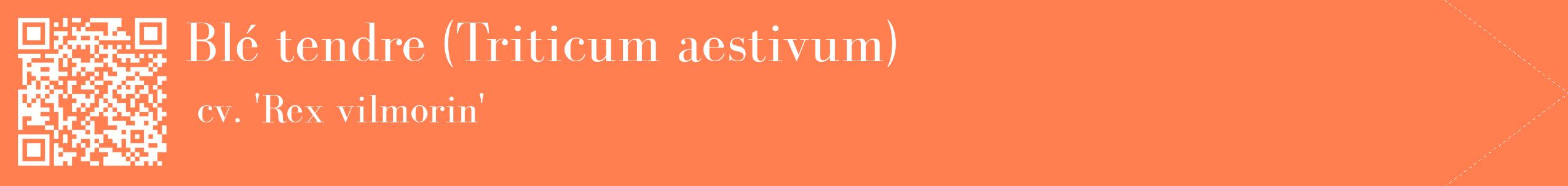 étiquette 2