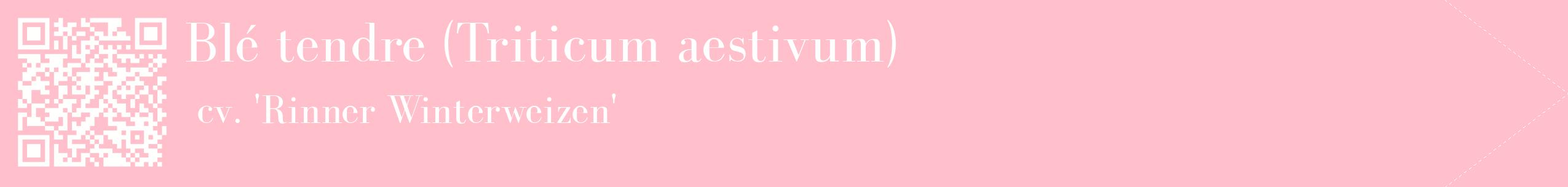 étiquette 2
