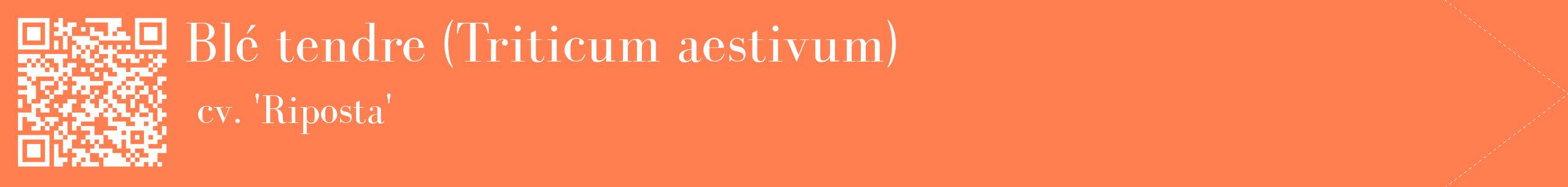 étiquette 2