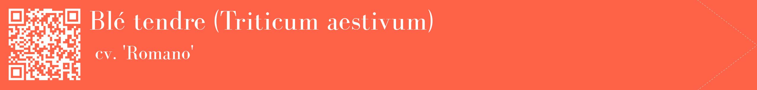 étiquette 2