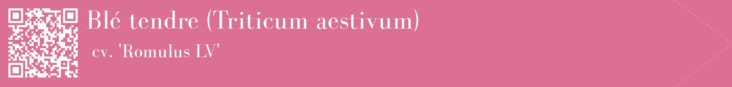 étiquette 2