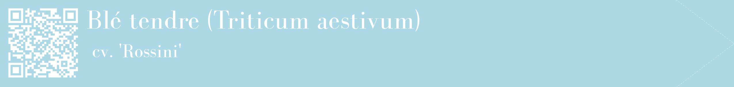 étiquette 2