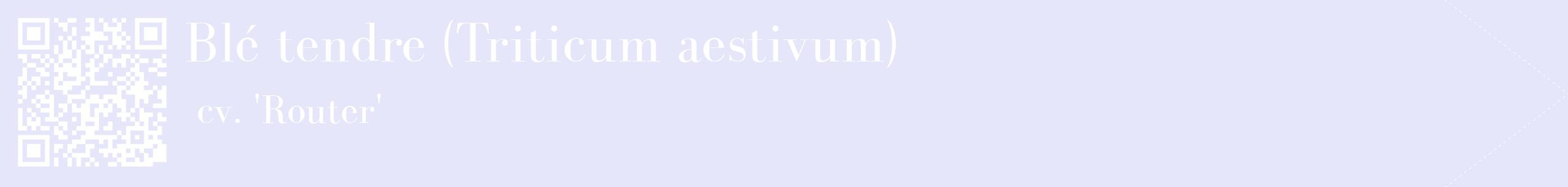 étiquette 2