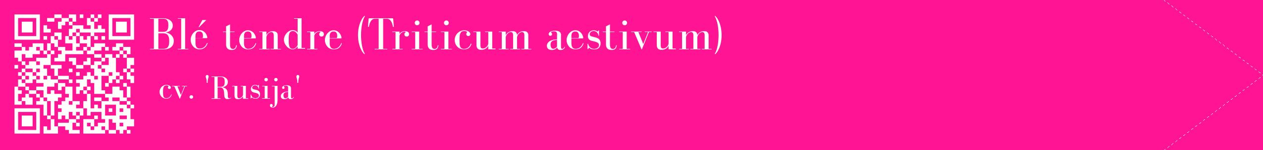 étiquette 2