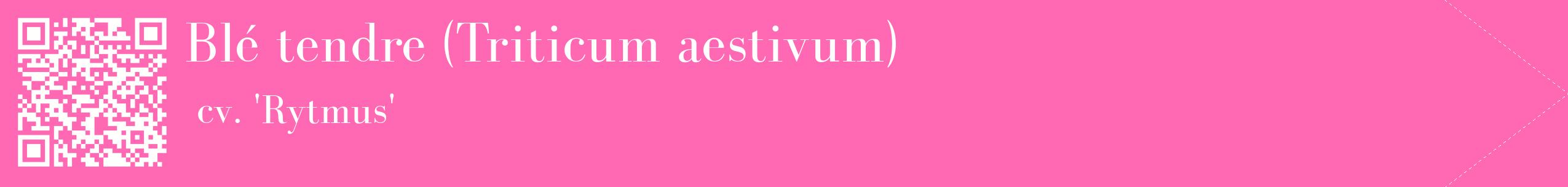 étiquette 2
