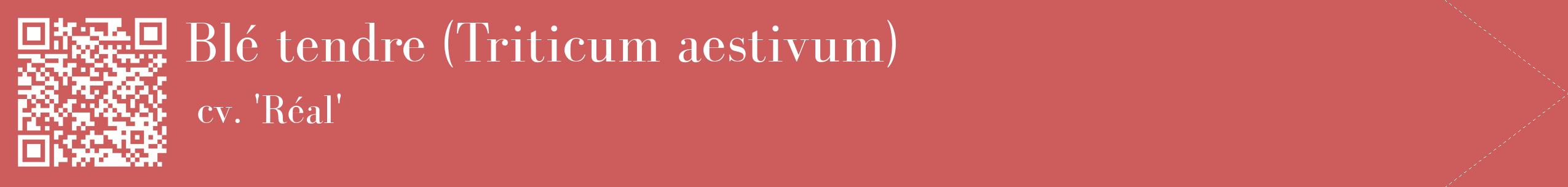 étiquette 2