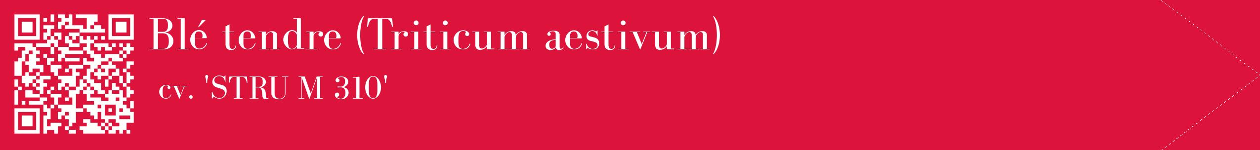 étiquette 2