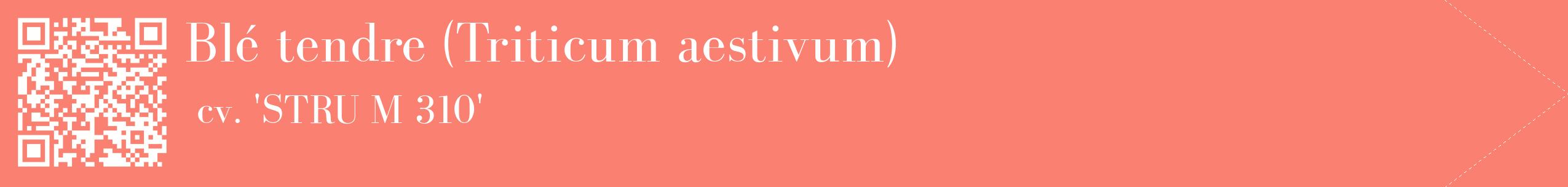 étiquette 2