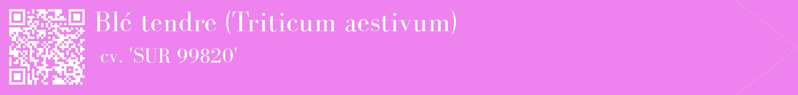étiquette 2