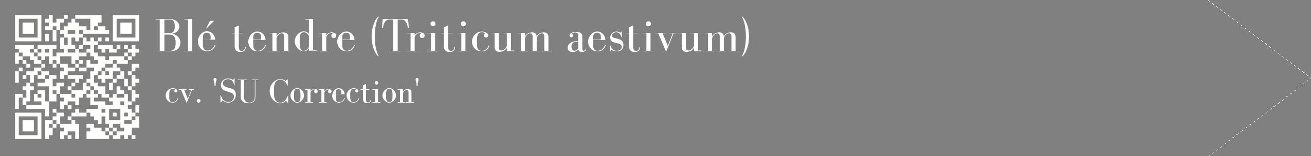 étiquette 2