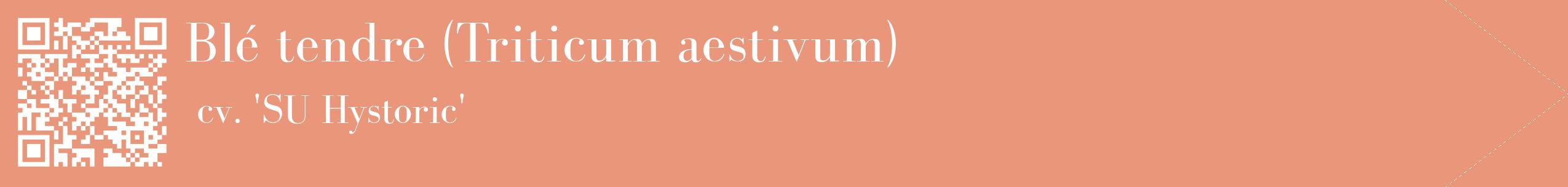 étiquette 2