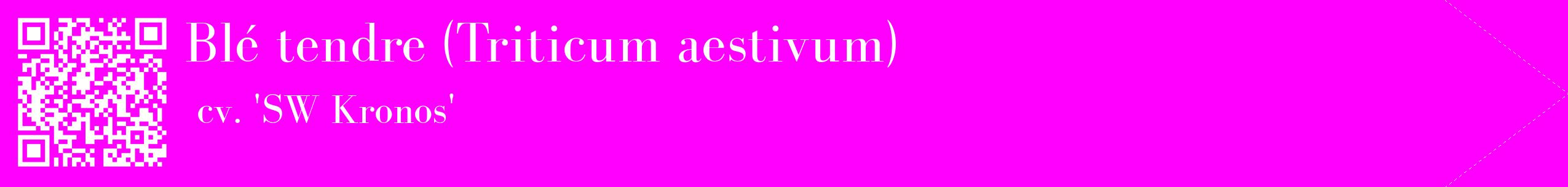 étiquette 2