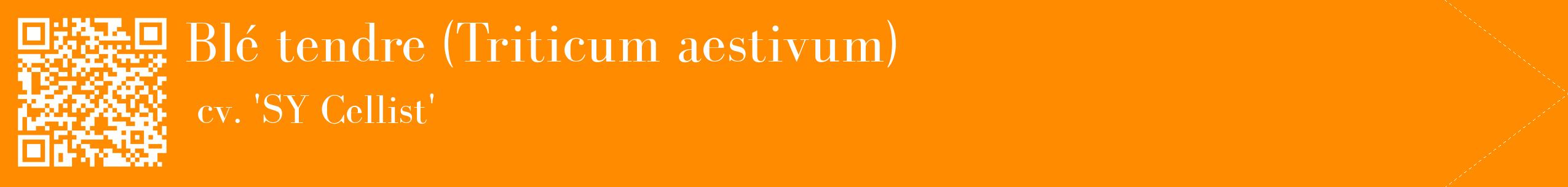 étiquette 2