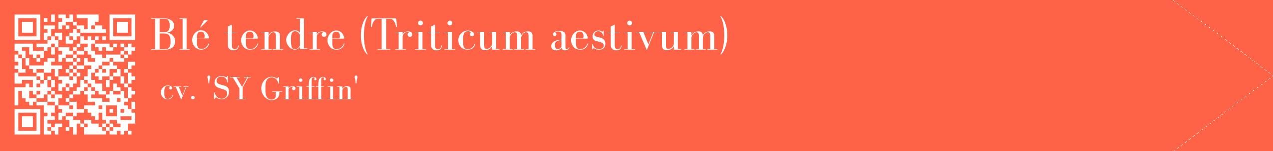 étiquette 2