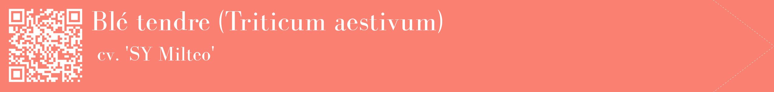 étiquette 2