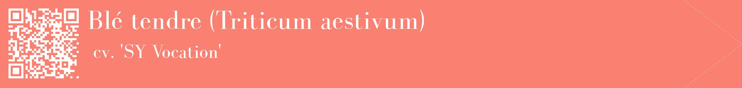étiquette 2