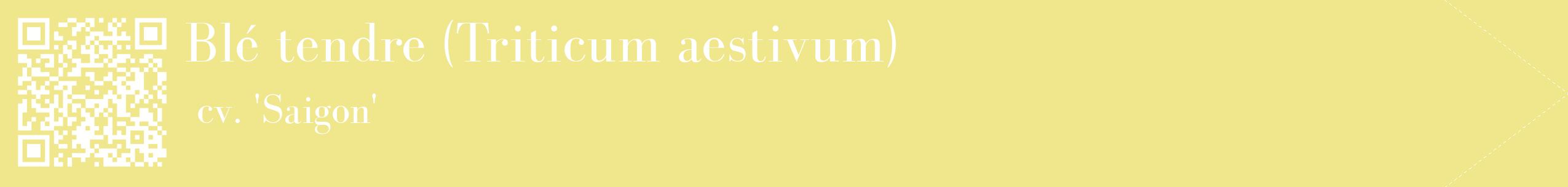 étiquette 2