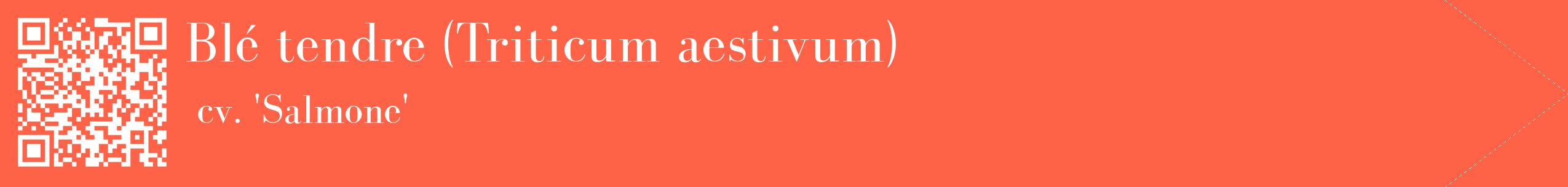 étiquette 2