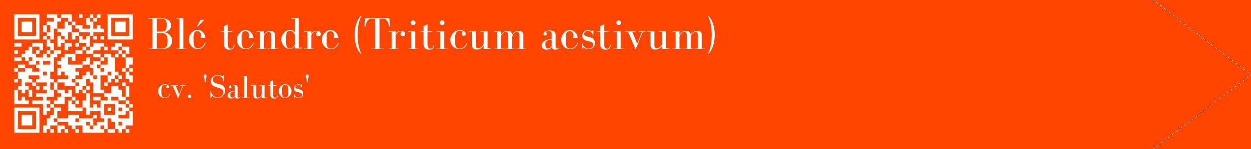 étiquette 2
