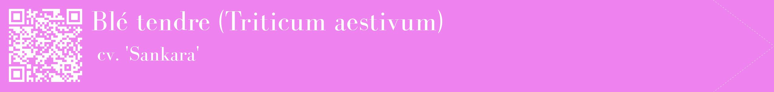 étiquette 2