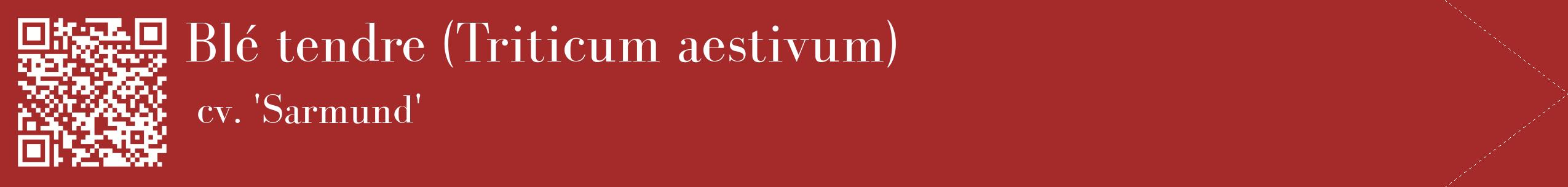étiquette 2