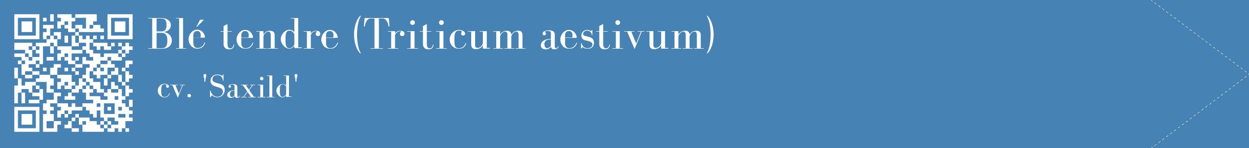 étiquette 2