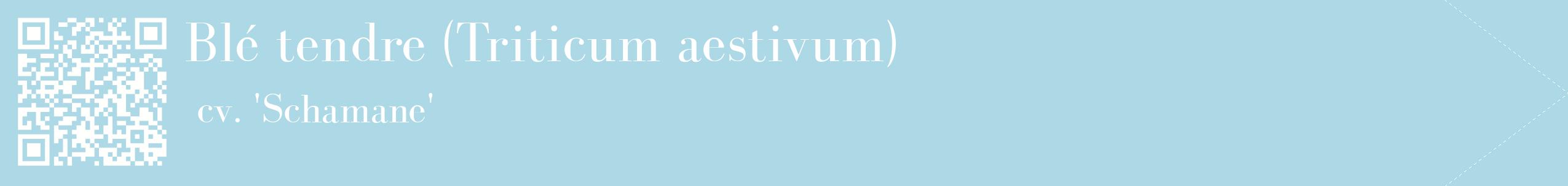 étiquette 2